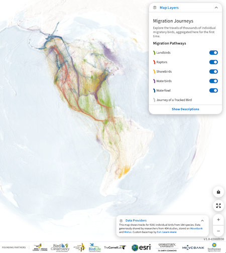 map from the Bird Migration Explorer