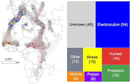 map of mortality locations with cause of death