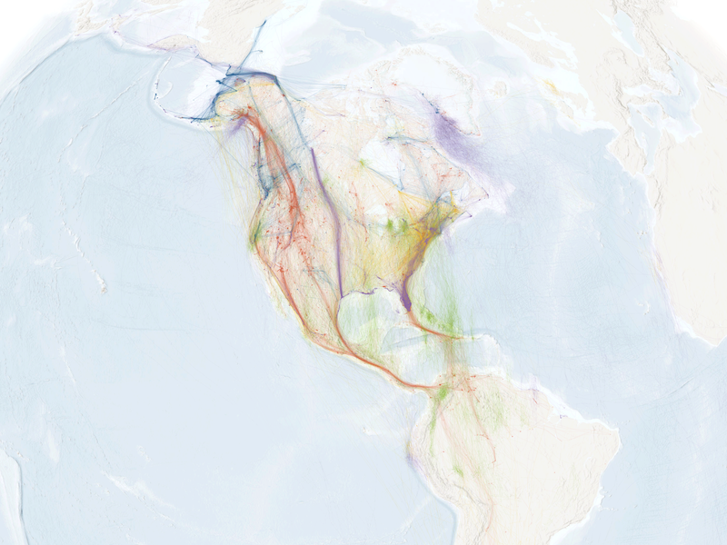 screenshot of the Bird Migration Explorer