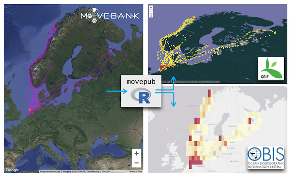 oystercatcher data published at Movebank, GBIF & OBIS