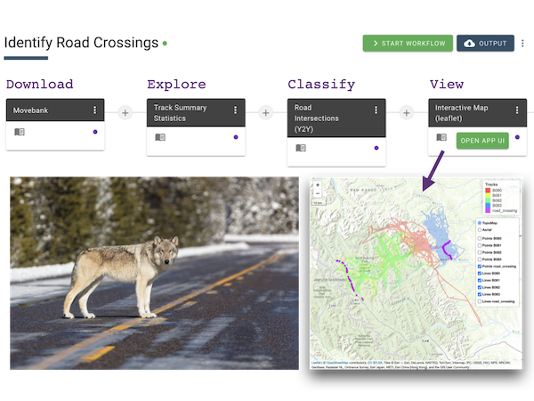 road crossings workflow in MoveApps