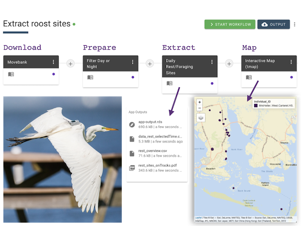 roost site extraction workflow in MoveApps