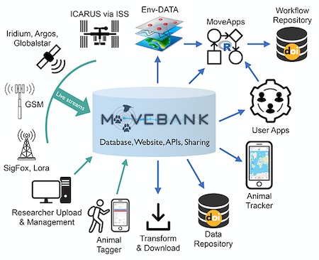 diagram of the Movebank ecosystem