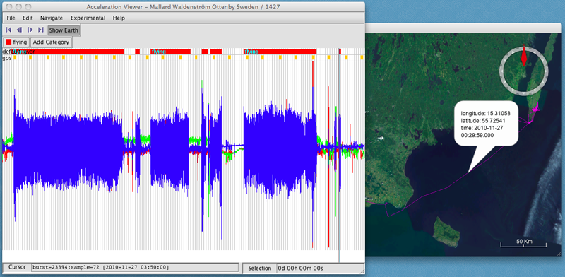 Image of the Acceleration Viewer after the annotation described is completed.