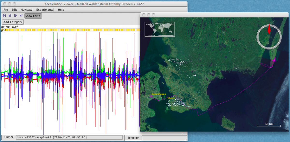 Display of the Acceleration Viewer window with a map that shows the movement of the selected animal on a map in a new window.