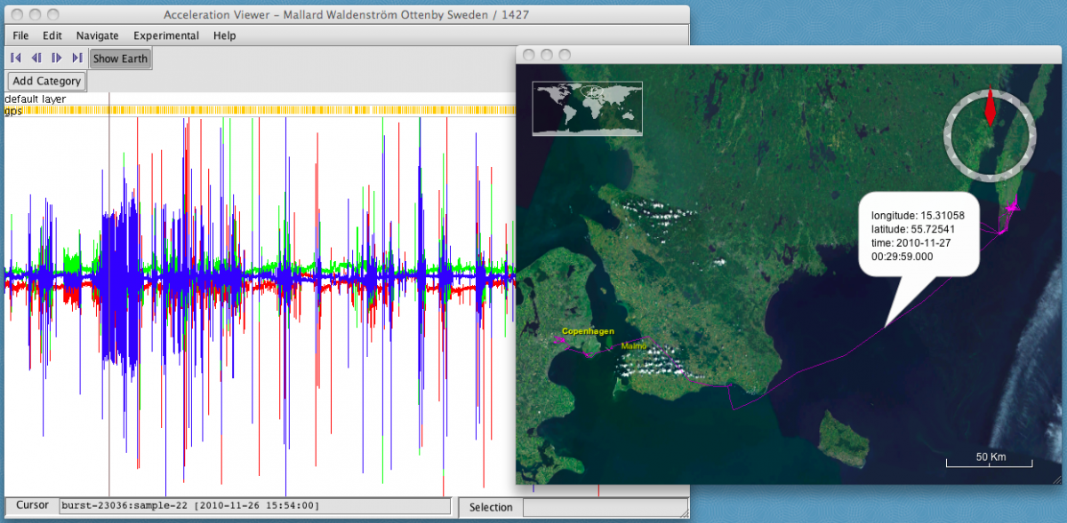 Same as previous image except that a data point has been selected and is showing longitude, latitude, and the timestamp of that point of the animal's movement.