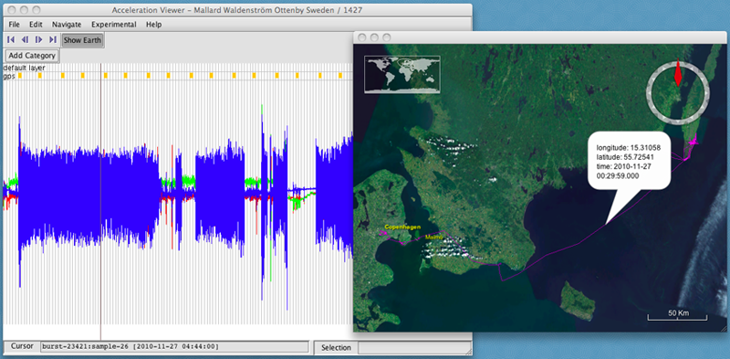 Repeat of the image of the Acceleration Viewer used above.