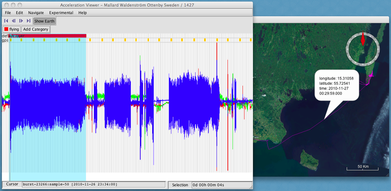 Same image of the Acceleration Viewer as above with the same section highlighted, but now with an indication bar at the top of the selected region showing that it has been annotated.