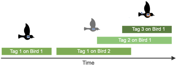 illustration of tag deployment periods