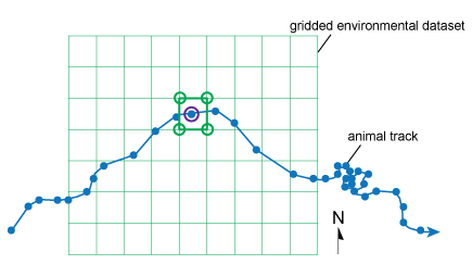 Gridded environmental dataset