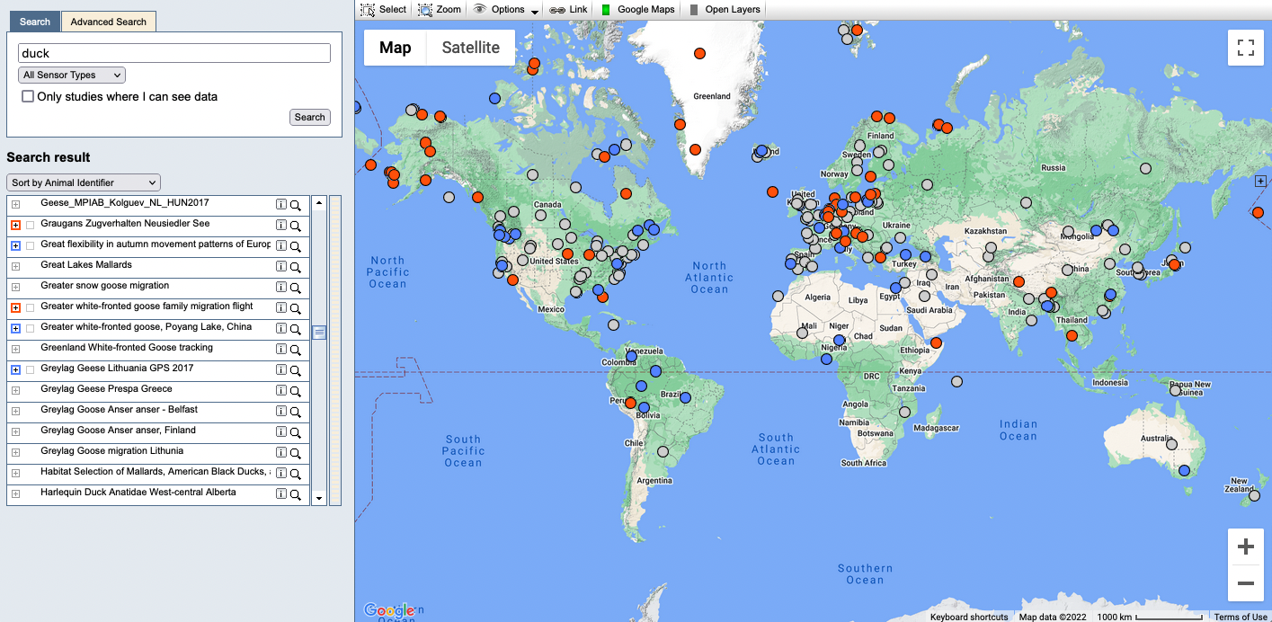 Image of studies on map screen after filtering for the word "duck"