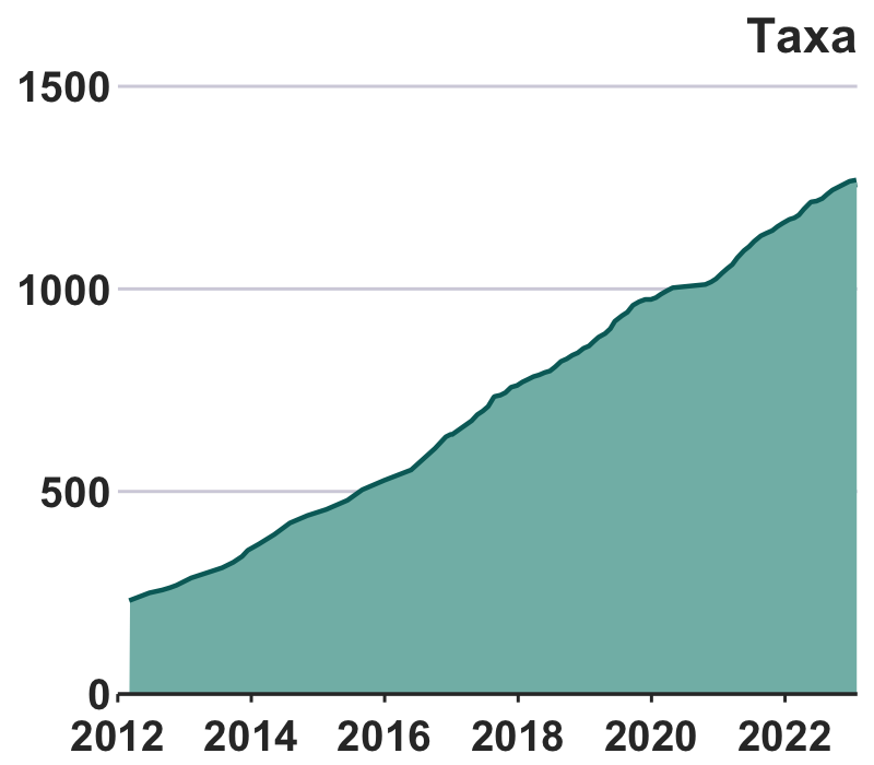 growth in taxa over time