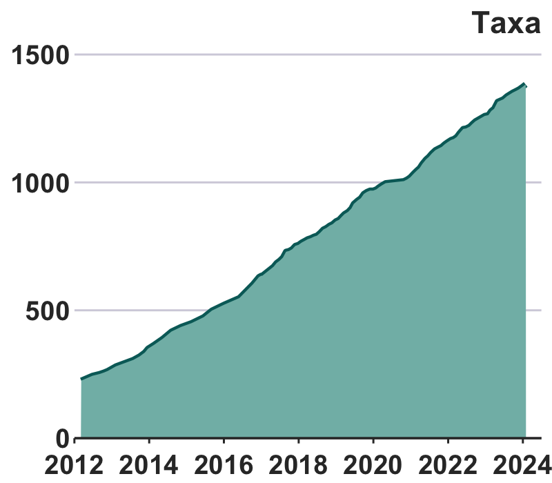 growth in taxa over time