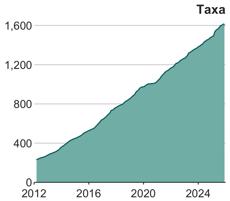 growth in taxa over time