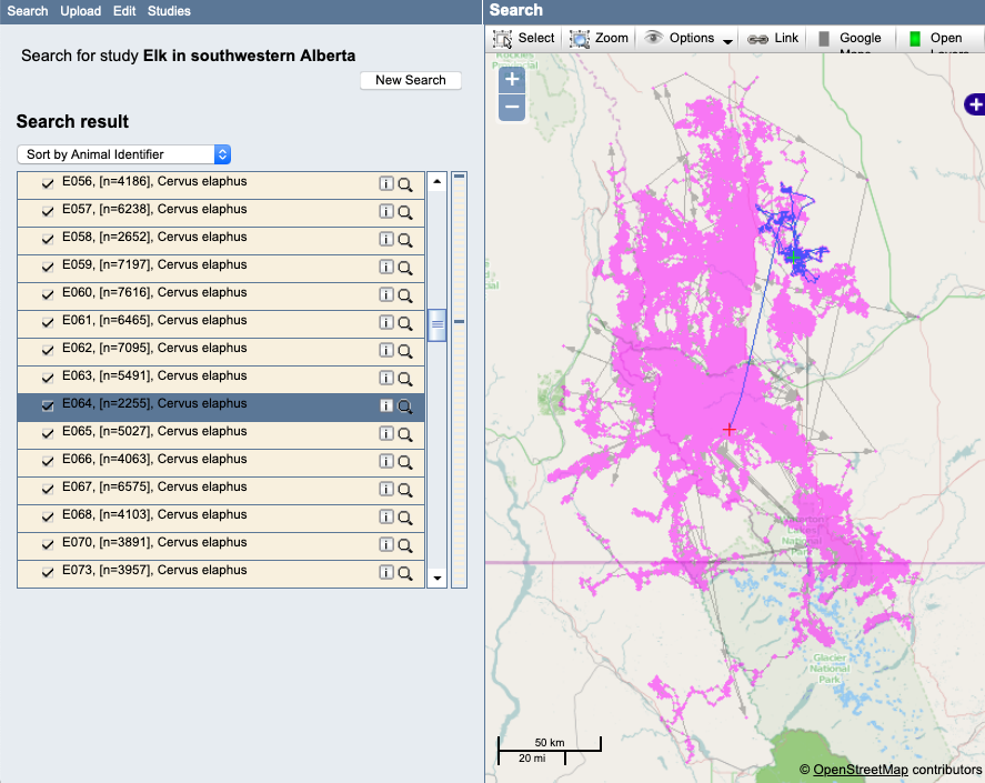 Image of example study with an animal selected and a clear outlier on the map.