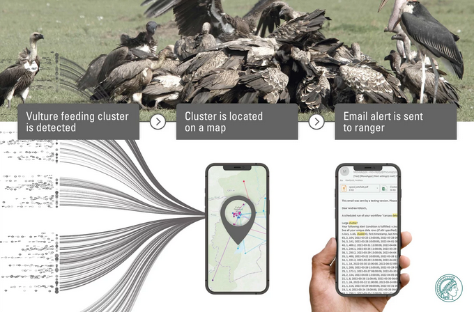 vulture cluster analysis graphic